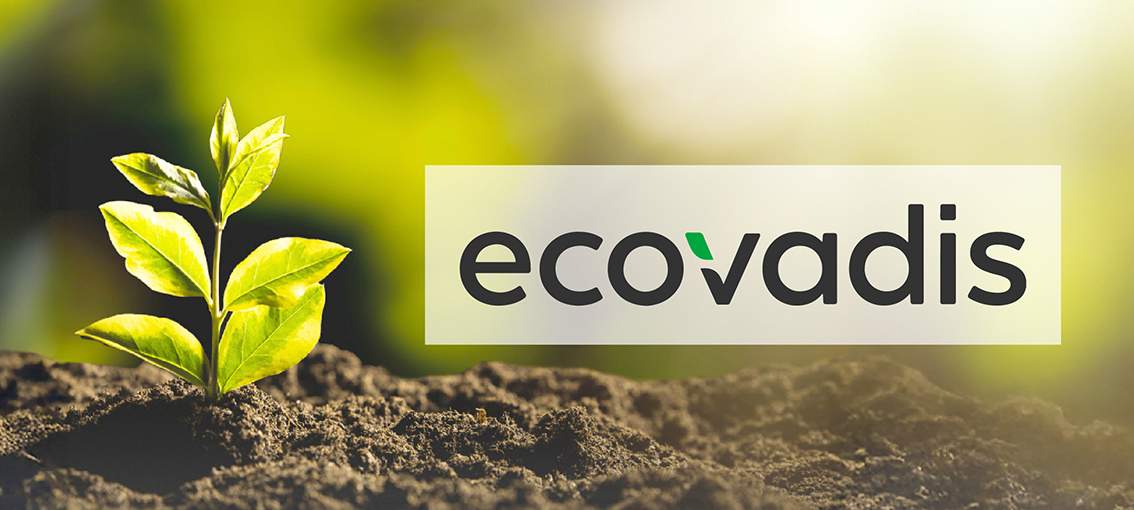 Cim e sostenibilit&agrave; aziendale certificata EcoVadis