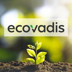 Cim renews its EcoVadis Badge, confirming its commitment to corporate sustainability, ESG practices and low-impact production processes